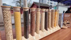 <b><b>又有监视食物平安</b></b>